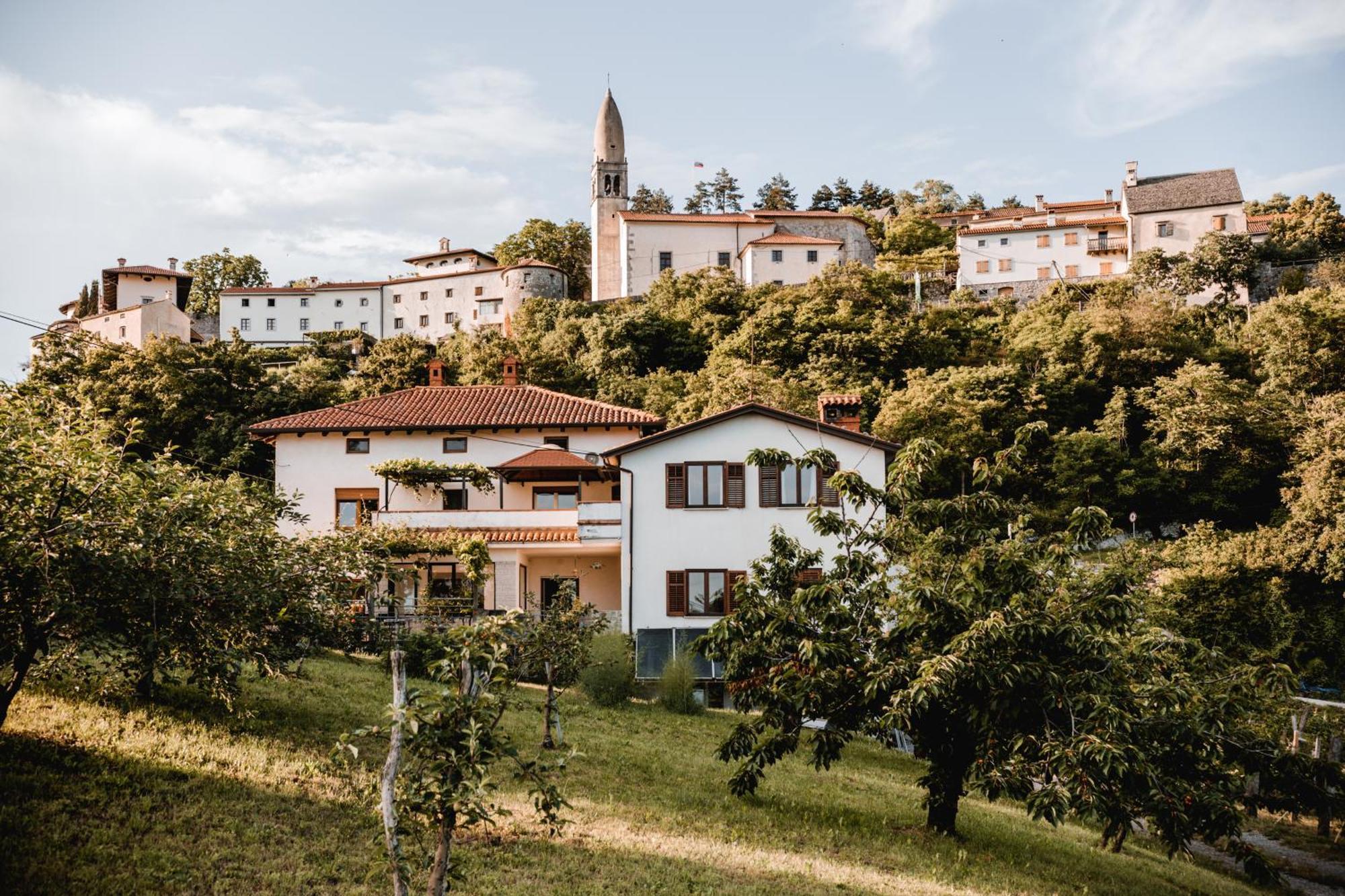 Vina Kobal, Kobal Family Estate Apartamento Štanjel Exterior foto